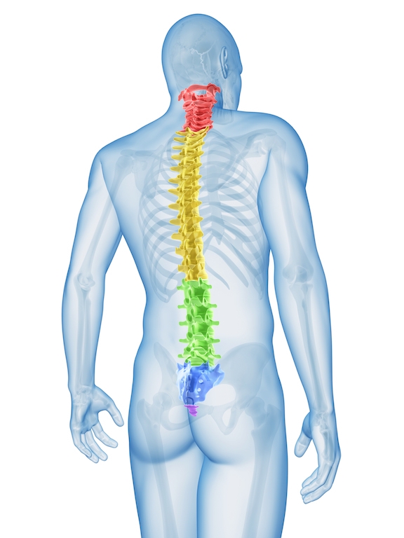 Paul Blacker acupuncture back pain